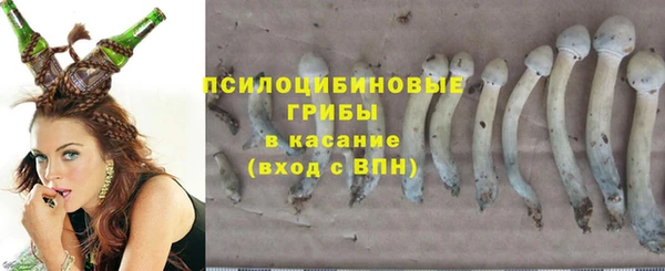 а пвп мука Кодинск