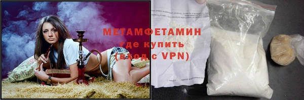 прущие грибы Кинешма