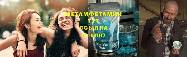 крисы Козельск