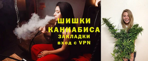 крисы Козельск