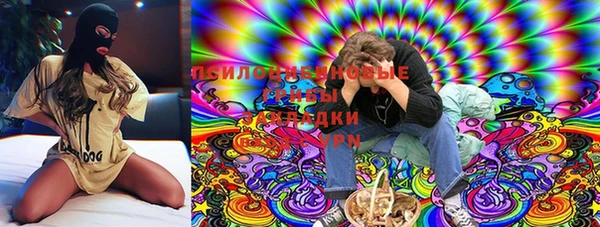 твердый Киреевск