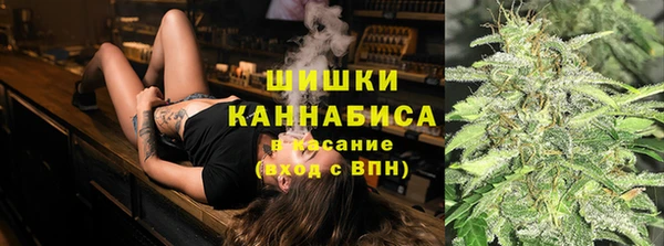 прущие грибы Кинешма