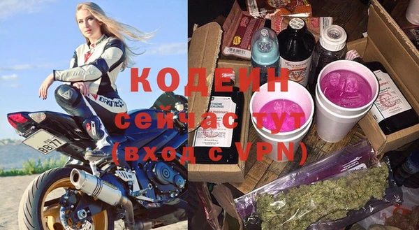 крисы Козельск