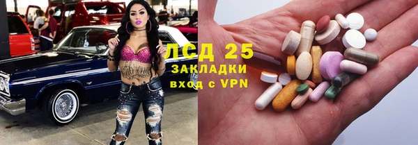 крисы Козельск