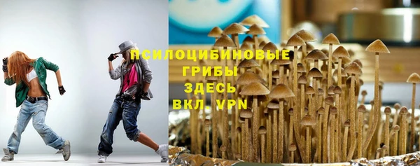 прущие грибы Кинешма