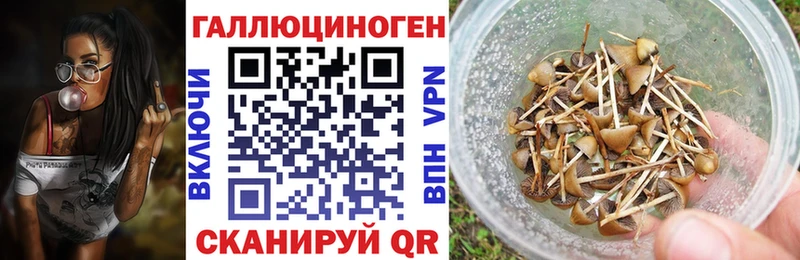 Галлюциногенные грибы Cubensis  наркота  блэк спрут ТОР  Котово 